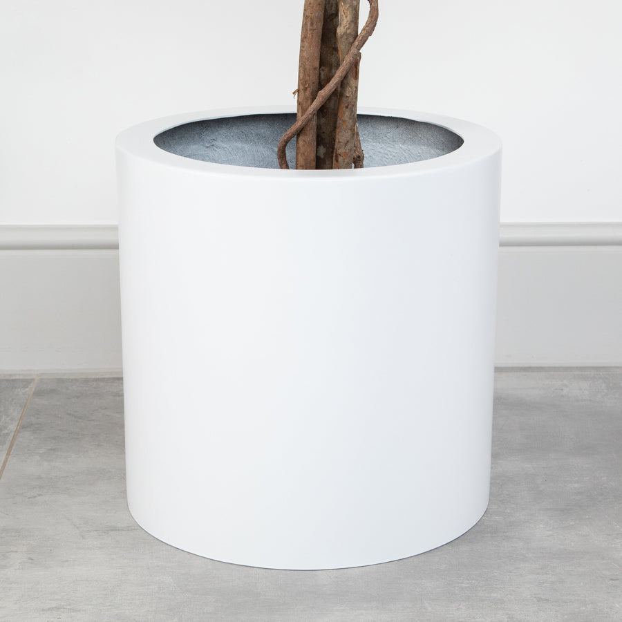 Artificial Ficus Tree in White Round Planter