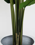 Artificial Bird Of Paradise Tree in Black Round Planter