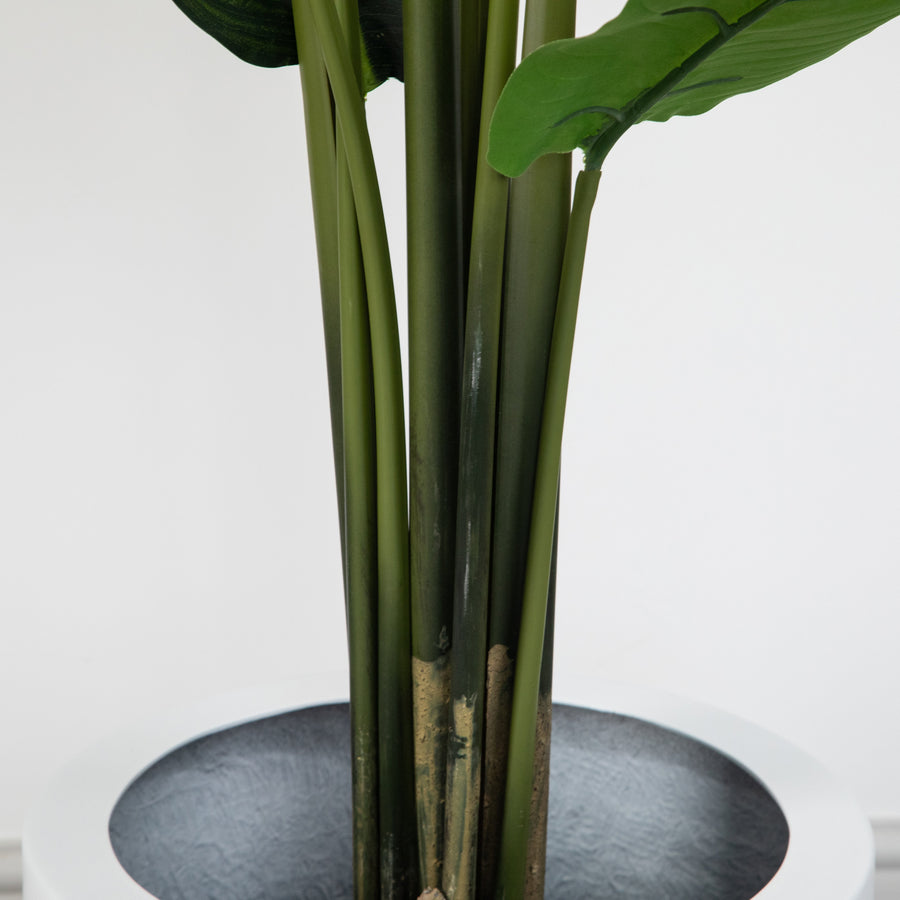 Artificial Bird Of Paradise Tree in Black Round Planter