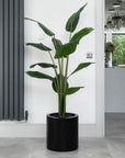 Artificial Bird Of Paradise Tree in Black Round Planter