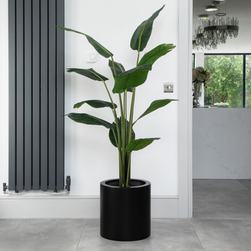 Artificial Bird Of Paradise Tree in Black Round Planter