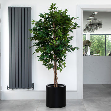 Artificial Ficus Tree in Black Round Planter