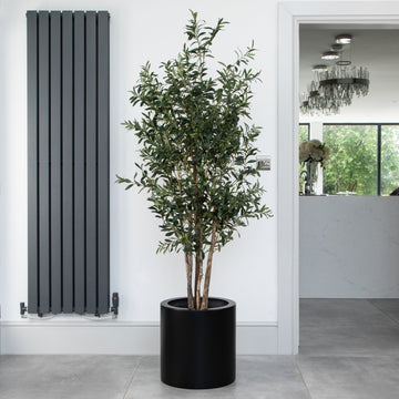 Artificial Olive Tree in Black Round Planter