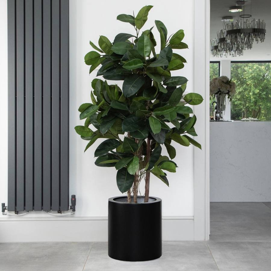 Artificial Ficus Elastica Rubber Tree in Black Round Planter