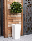 Artificial Bay Tree  in White Planter