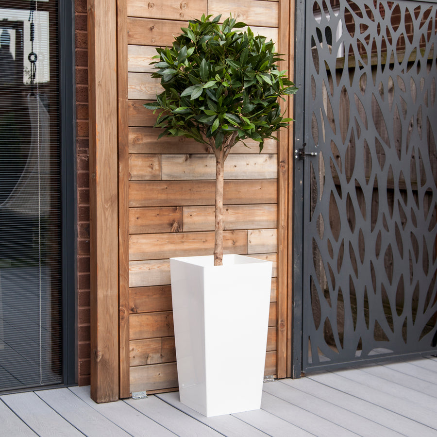 Artificial Bay Tree  in White Planter