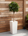 Artificial Bay Tree  in White Planter