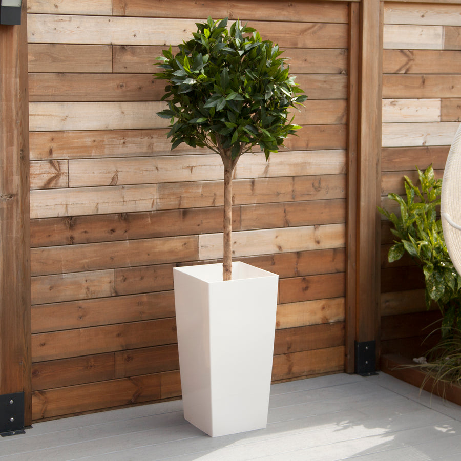 Artificial Bay Tree  in White Planter