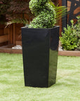 Artificial Buxus Spiral Topiary in Black Planter