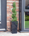 Artificial Buxus Spiral Topiary in Black Planter