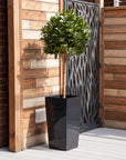 Artificial Bay Tree  in Black Planter