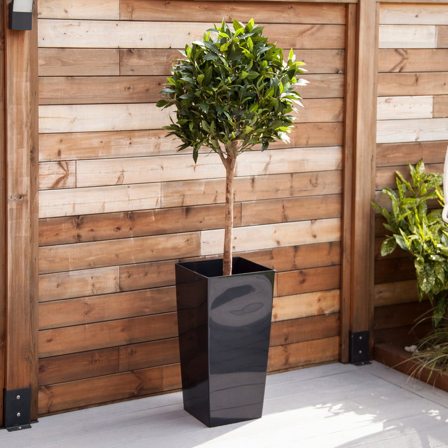 Artificial Bay Tree  in Black Planter